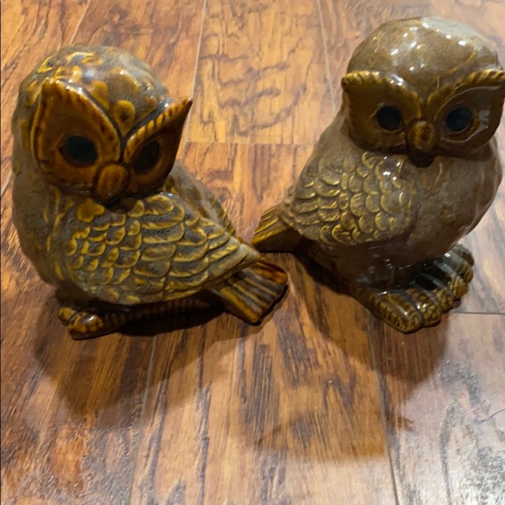 Owl 🦉 decorations